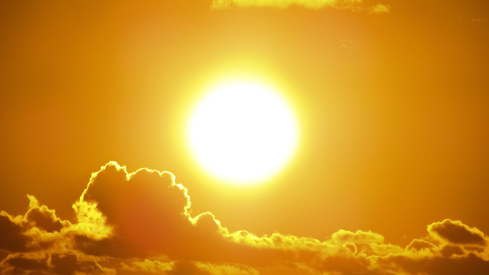 Canicule : pourquoi la chaleur t'épuise deux fois plus