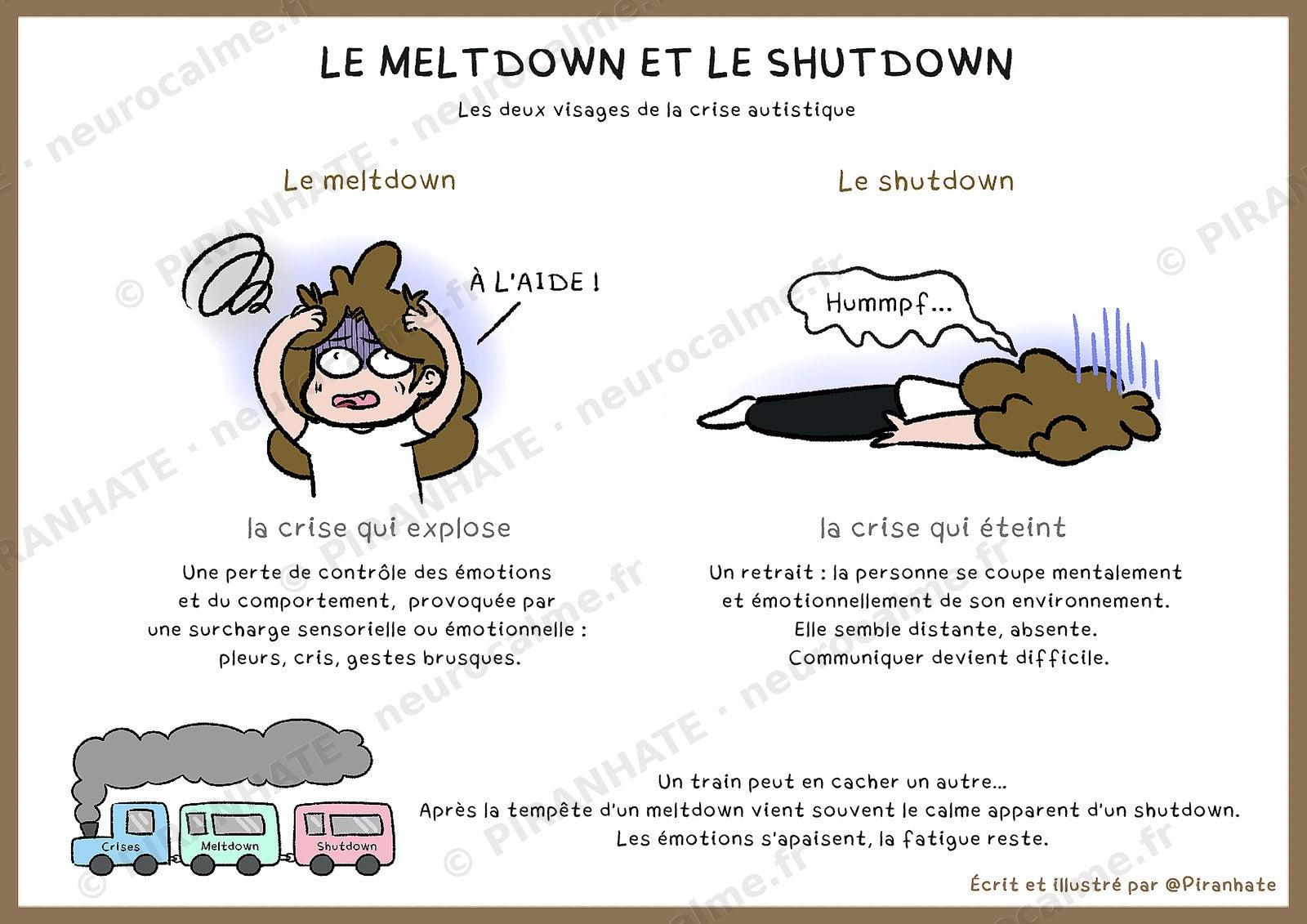 Affiche « Le meltdown et le shutdown » : deux colonnes illustrées opposant la crise qui explose et la crise qui éteint, avec un petit train nommé crises, meltdown, shutdown en bas de page