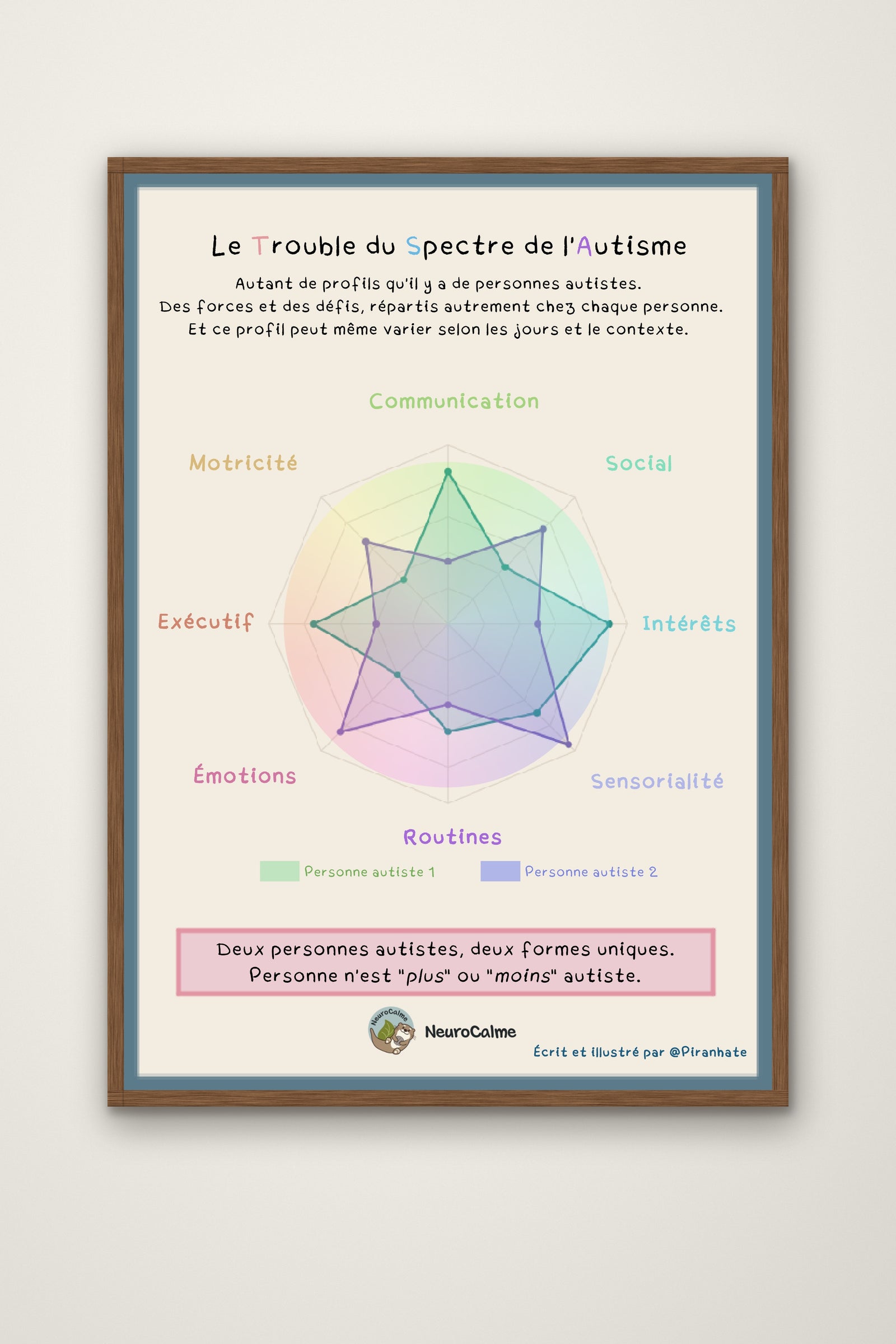 Affiche « Le Trouble du Spectre de l'Autisme » présentée dans un cadre en bois : graphique en radar comparant deux profils autistes sur huit axes (communication, social, intérêts, sensorialité, routines, émotions, exécutif, motricité)