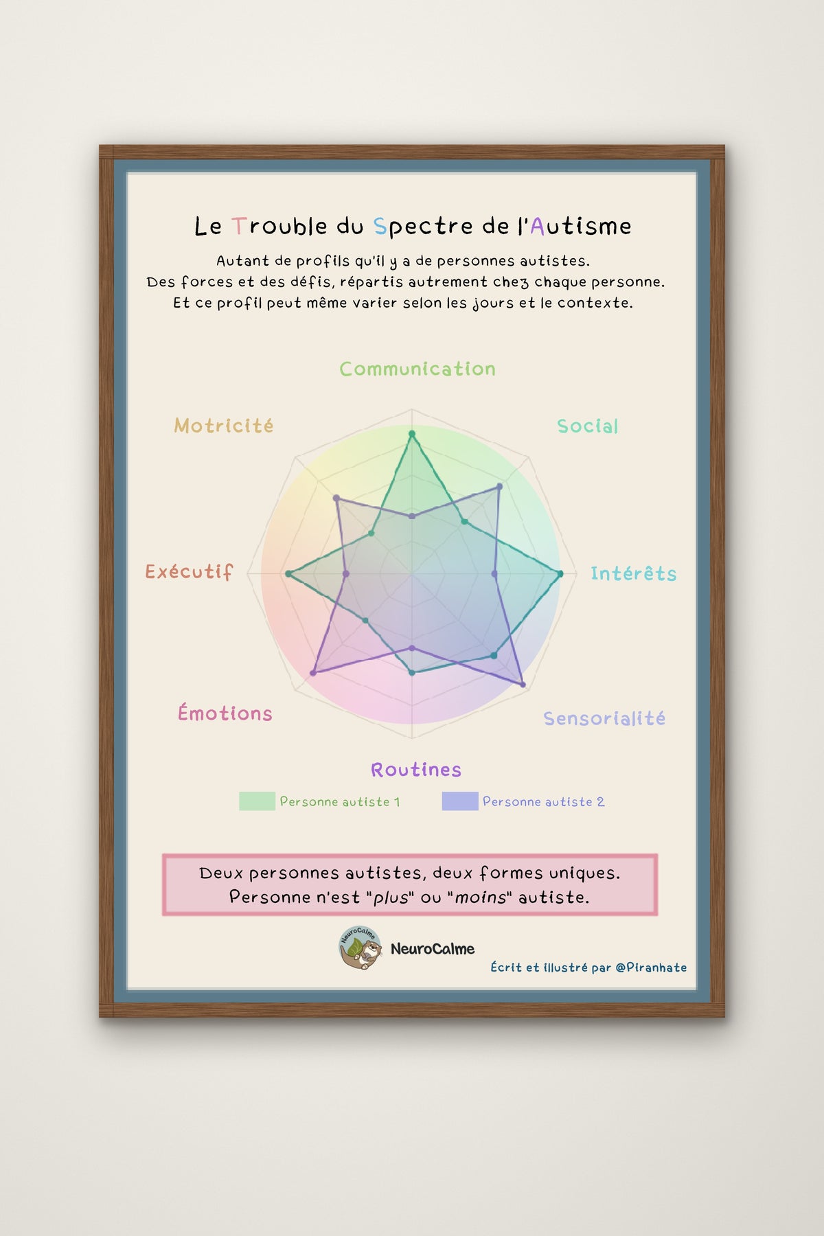 Affiche « Le Trouble du Spectre de l'Autisme » présentée dans un cadre en bois : graphique en radar comparant deux profils autistes sur huit axes (communication, social, intérêts, sensorialité, routines, émotions, exécutif, motricité)