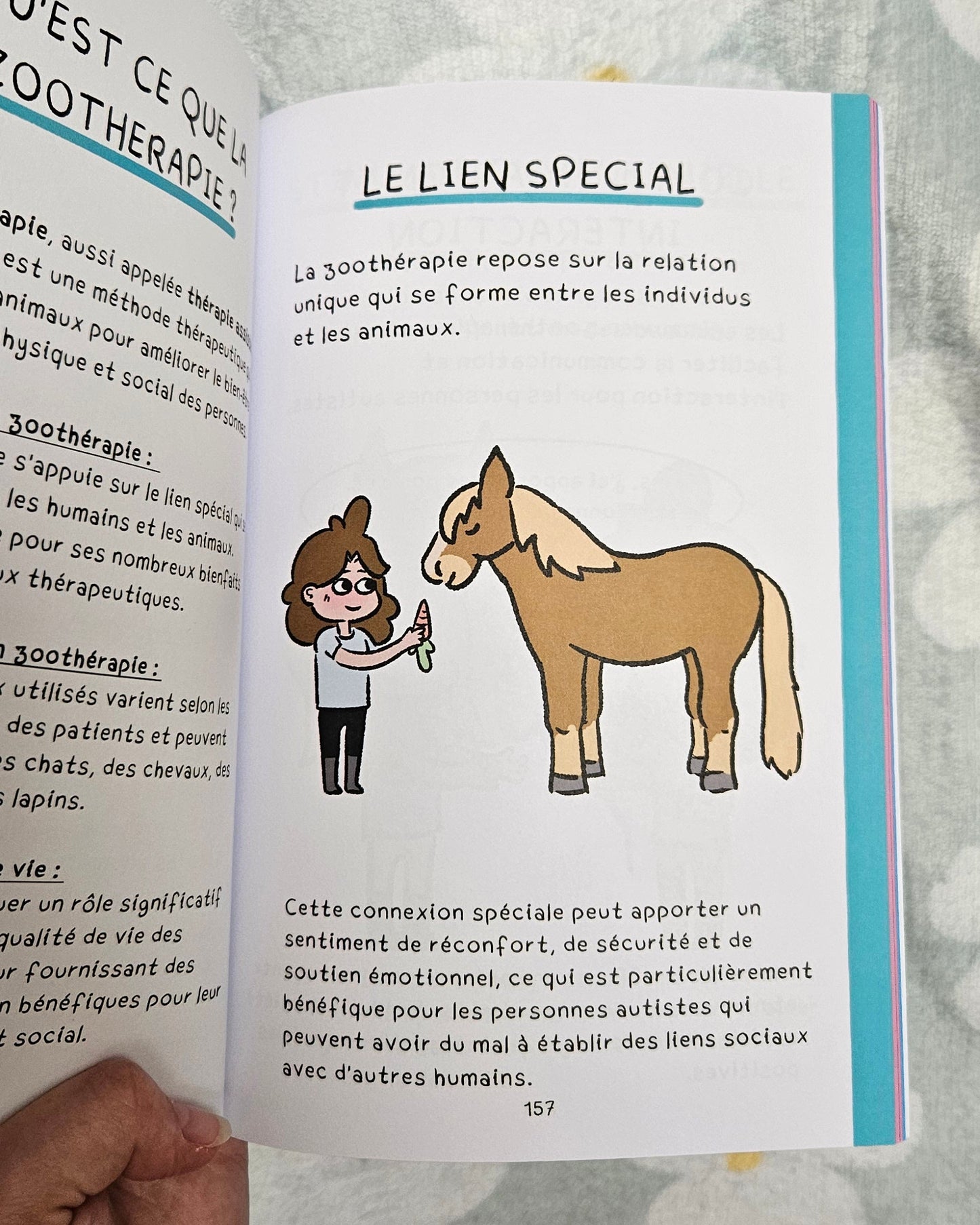 Le Guide illustré ULTIME de l'Autisme