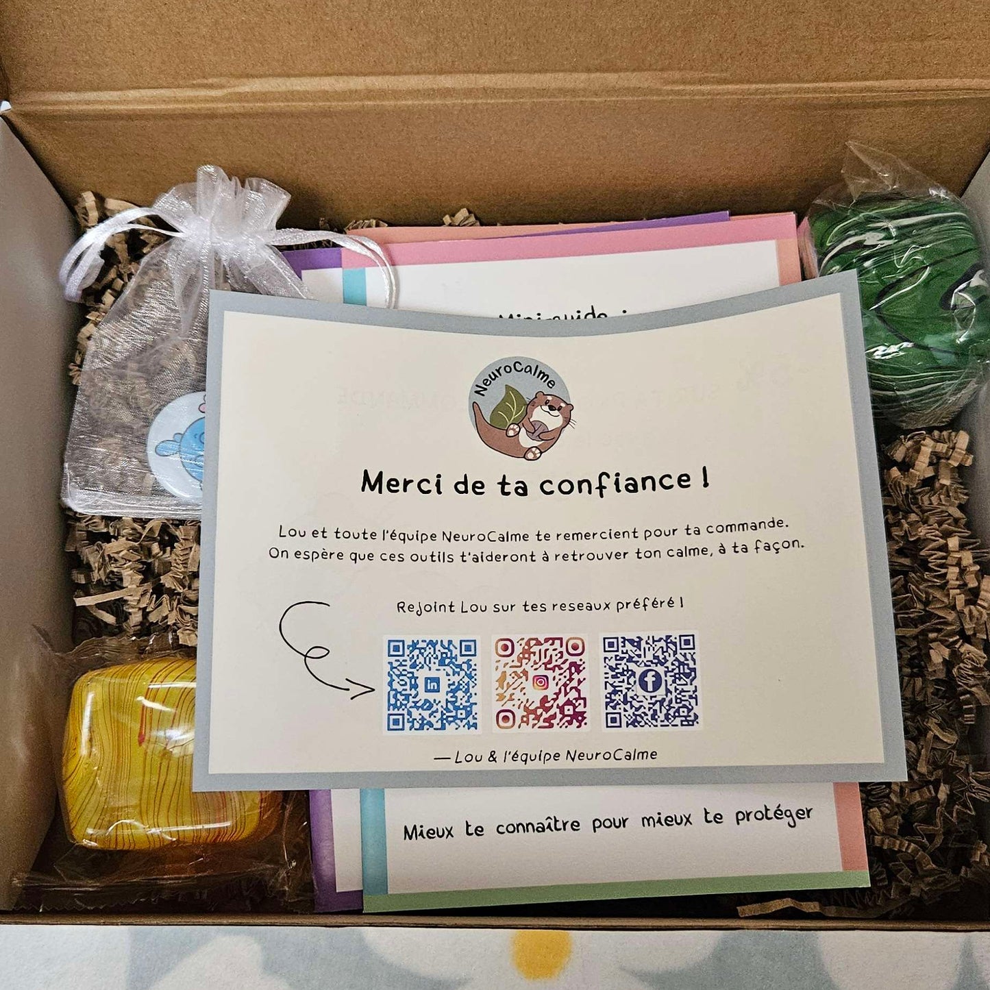 Box Découverte Autisme — Kit Complet Piranhate