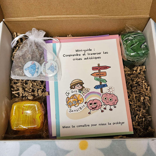 Box Découverte Autisme — Kit Complet Piranhate