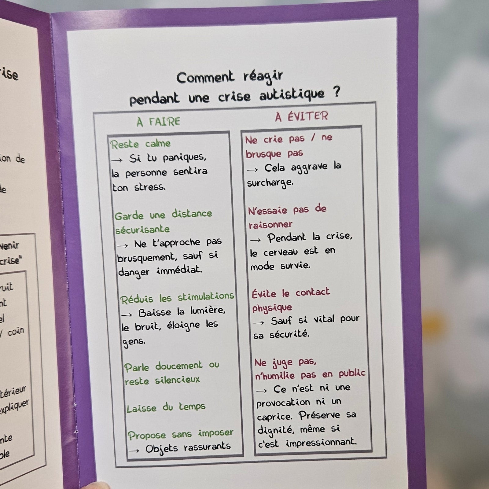 Page intérieure du mini-guide intitulée « Comment réagir pendant une crise autistique ? », en deux colonnes à faire et à éviter : rester calme, garder une distance sécurisante, réduire les stimulations d'un côté, ne pas crier, ne pas raisonner, ne pas juger de l'autre